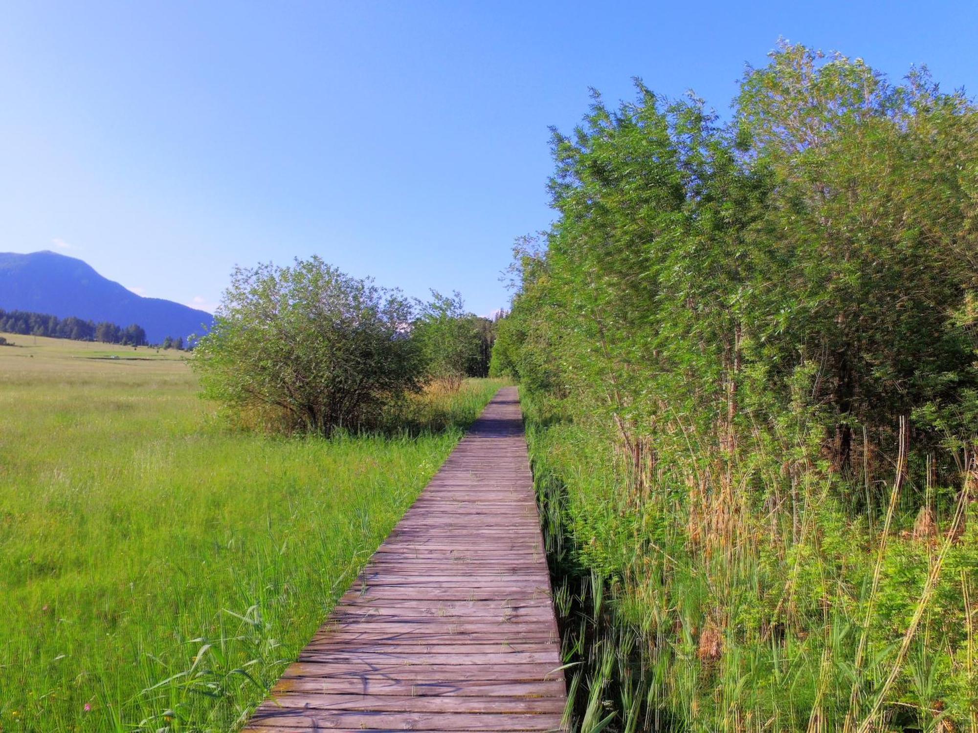 Hotel Alpenrose 圣瓦伦蒂诺阿拉穆塔 外观 照片